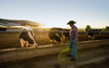 Ranchers