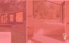 Raus