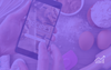 AI-Generated Recipes