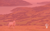 Travel Trade New Zealand