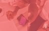 Nubank & Polygon