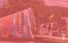Ben & Jerry's Mootopia
