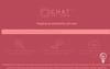 ChatNetZero