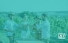 Vineyard Localists