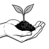 Ecology and Sustainability