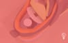 Find My Sketchers