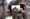 Cultural Snapshooters