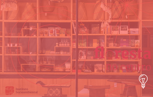 Instituto Socioambiental