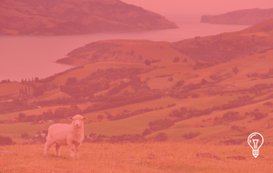 Travel Trade New Zealand