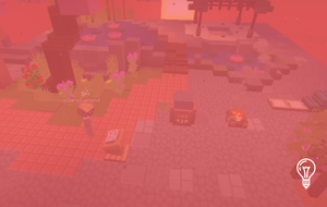 Experience Camps & others