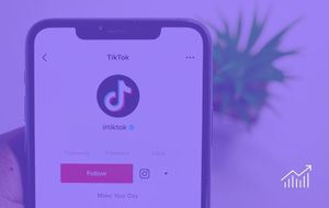 TikTok Used as A Searcher
