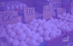 Prices for Consumers (US)