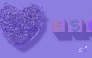 Brands & Clear Social Missions