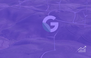 Global Leaders Exaggerate Their Sustainability Activities