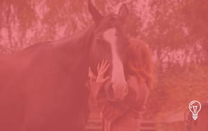 Stella McCartney & The Chopra Foundation
