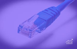 Americans Are Yearning for an Era Before Constant Connectivity