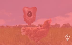 Honest Eggs Co.