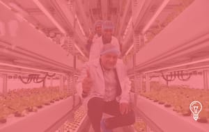 BoomGrow & CelcomDigi