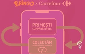 Carrefour Romania & Bringo