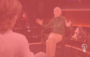 Netflix Famous Last Words