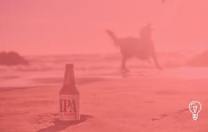 Lagunitas & TikTok Shop