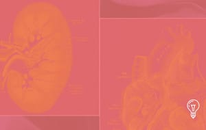 R3 Bio and the Bioethics of Engineered Organ Sacks